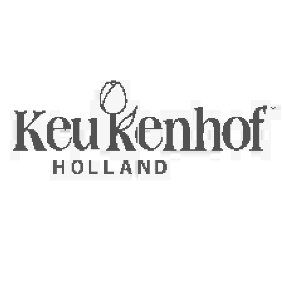 جشنواره گل کوکنهوف (KEUKENHOF)